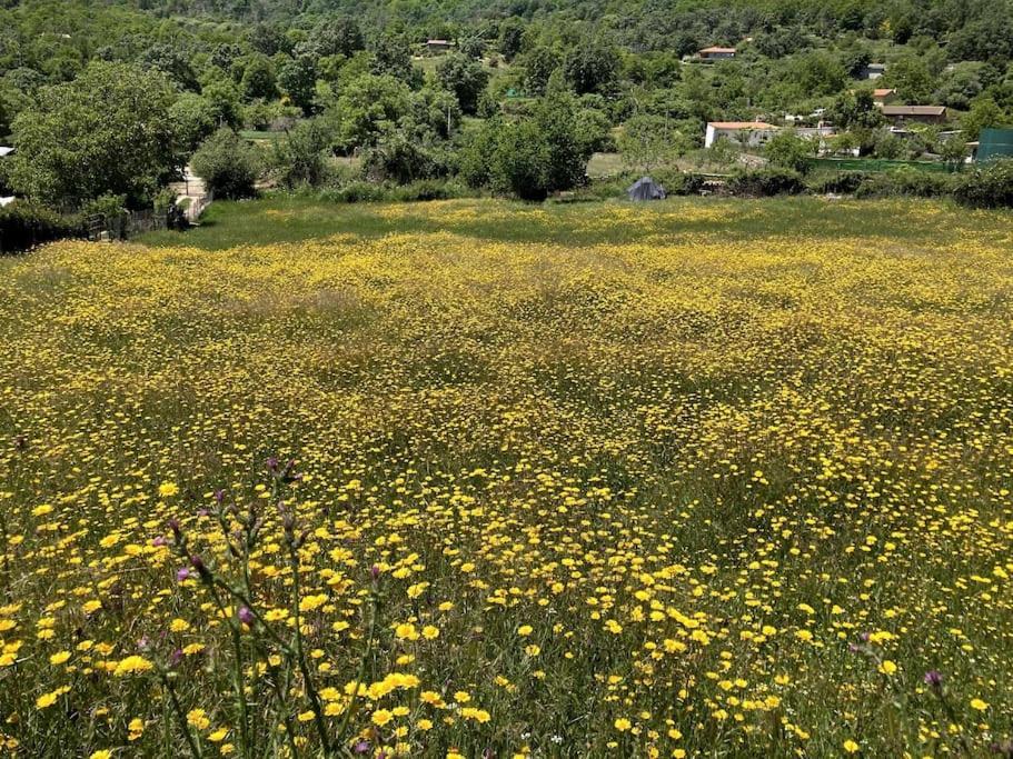 Atico Mirador Del Pielago El Real de San Vicente Zewnętrze zdjęcie